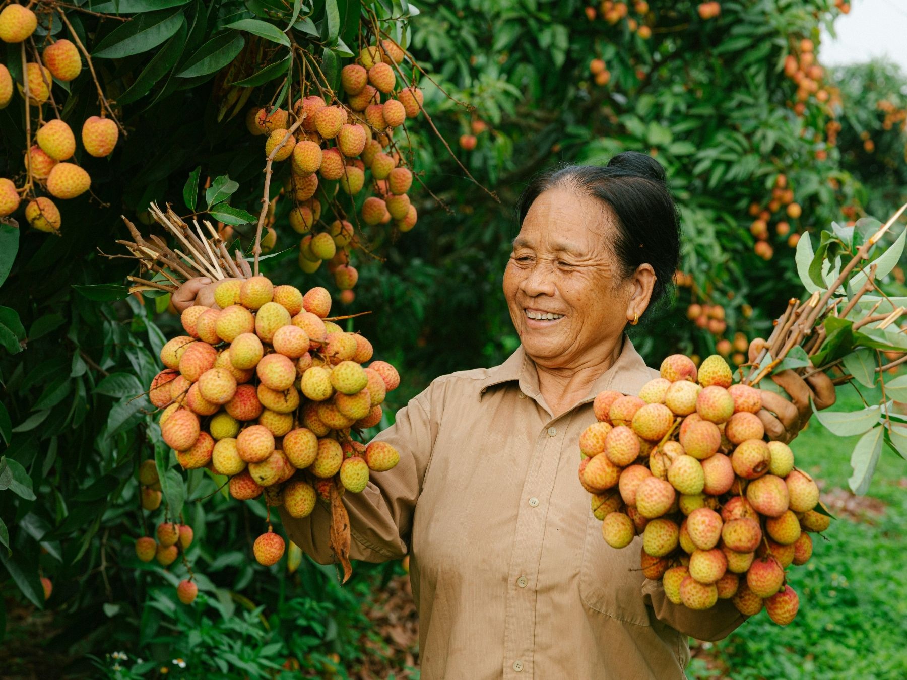 โดรนเกษตร-รับพ่นยา-หว่านปุ๋ย